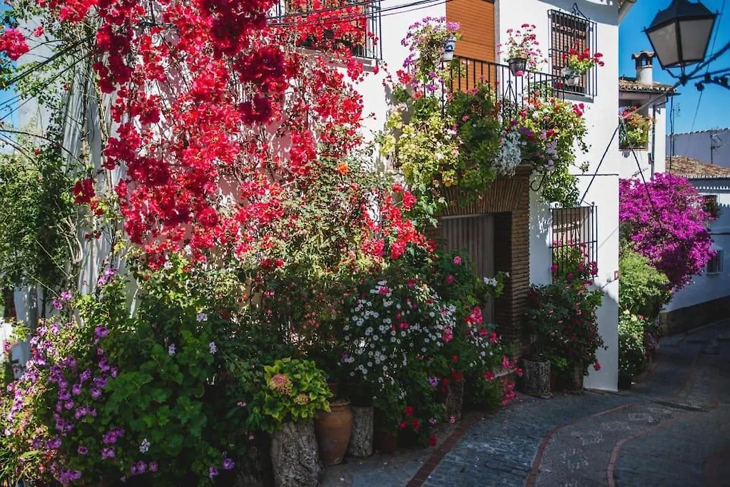 Casa Almenta - Tu Hogar Para Desconectar En El Pueblo Mas Bonito De Malaga Benalauría Сasa de vacaciones