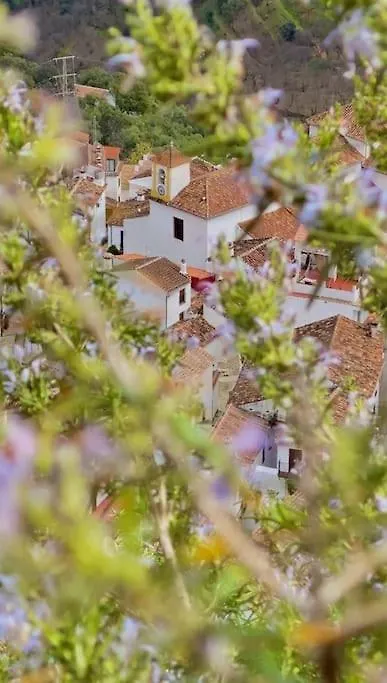 Casa Almenta - Tu Hogar Para Desconectar En El Pueblo Mas Bonito De Malaga Benalauría 0*,