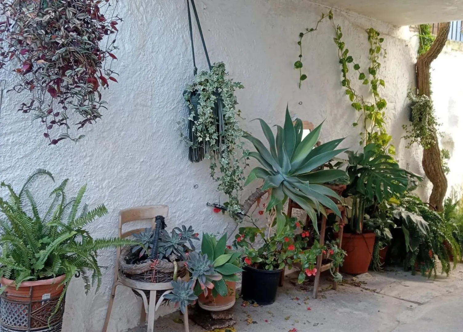 Сasa de vacaciones Casa Almenta - Tu Hogar Para Desconectar En El Pueblo Mas Bonito De Malaga Benalauría